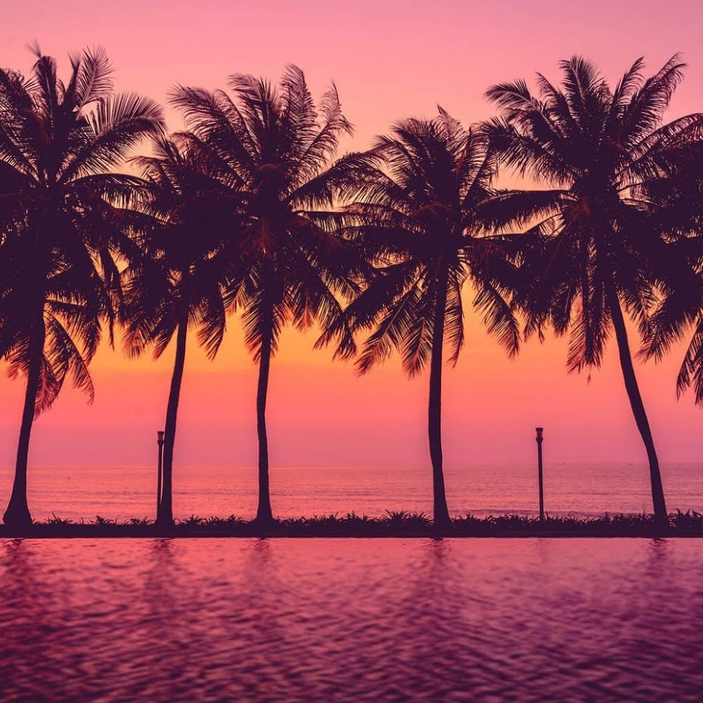 Meet your Posher, Shira